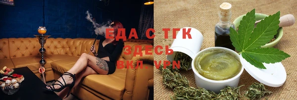 гидра Горнозаводск