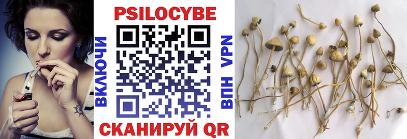 Псилоцибиновые грибы Psilocybe  что такое   Старый Оскол 